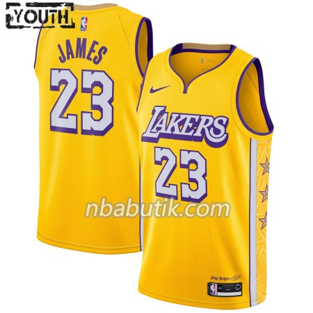 NBA Børn Trøje Los Angeles Lakers LeBron James 23 Nike 2019-20 City Edition Swingman
